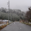 4月8日　北広島町 豊平どんぐり村 近く