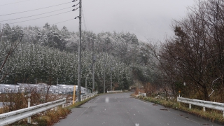 4月8日　北広島町 豊平どんぐり村 近く