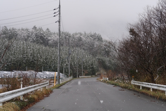 4月8日　北広島町 豊平どんぐり村 近く