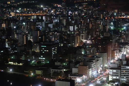 リーガロイヤルホテル最上階からの景色