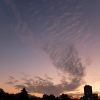 2月5日の通勤途中に見かけた雲