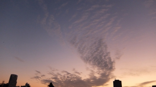 2月5日の通勤途中に見かけた雲