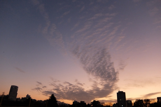 2月5日の通勤途中に見かけた雲