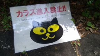 "カラス侵入禁止!!" なポスター