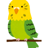 インコ(いらすとやさんより)