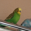 Thumbnail of post image 051