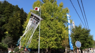 筒賀の大銀杏 2019年11月2日