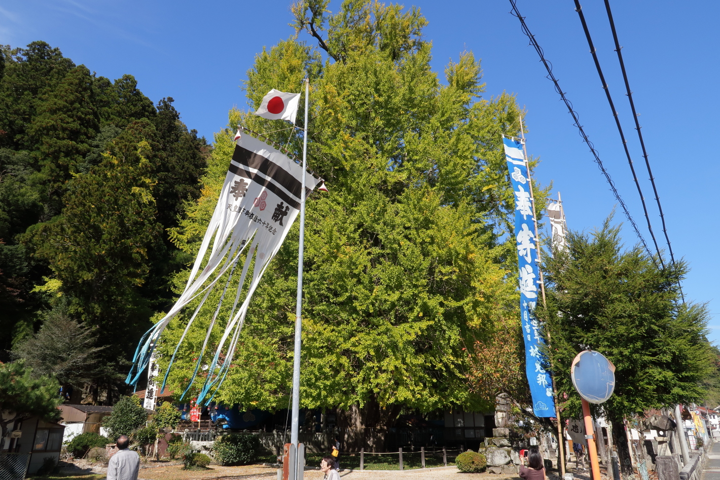 筒賀の大銀杏 2019年11月2日