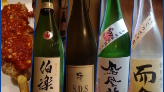 今週頂いた日本酒たち