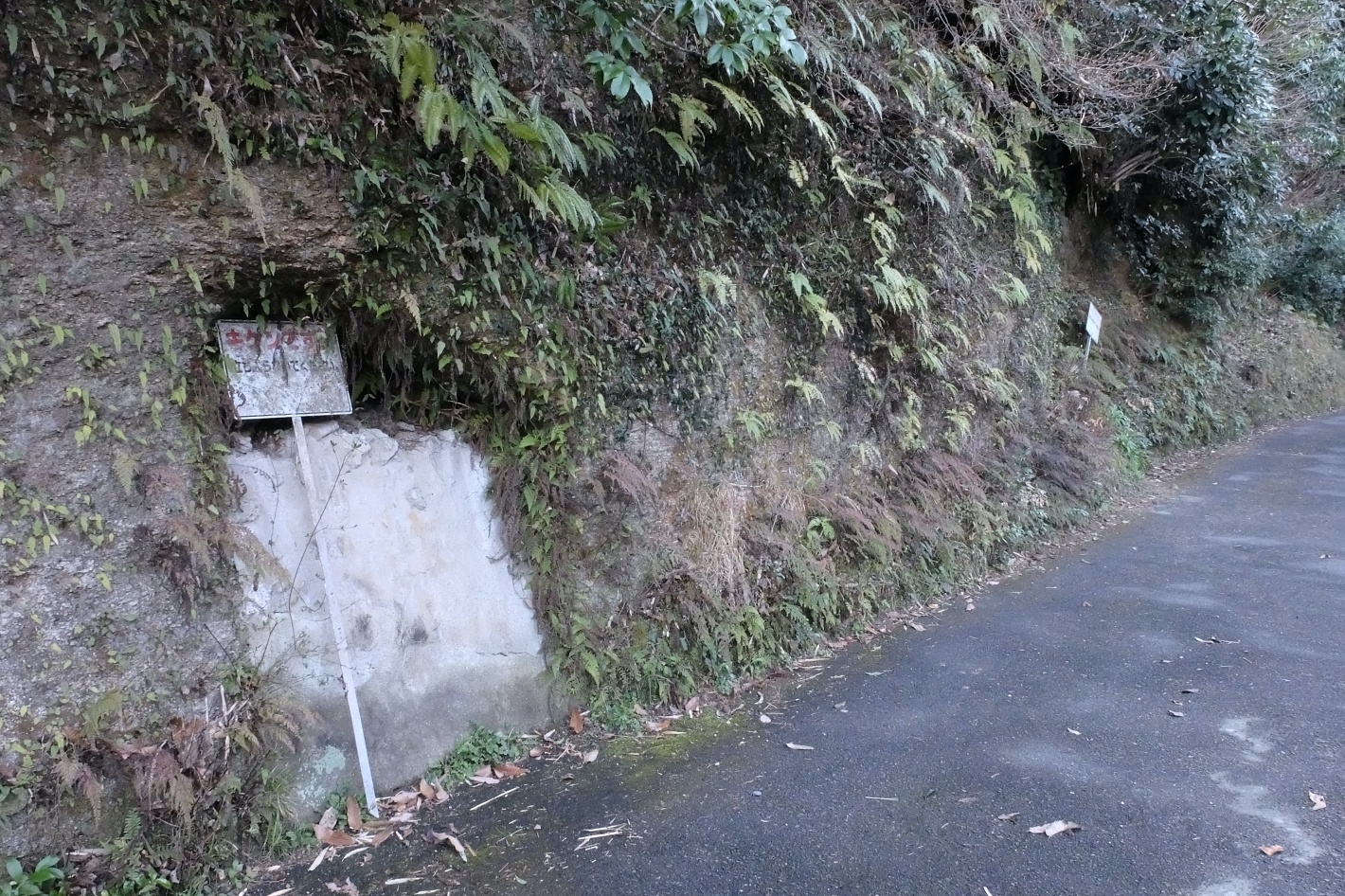 防空壕跡