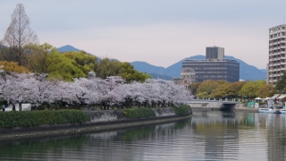 原爆ドームと桜 2020年