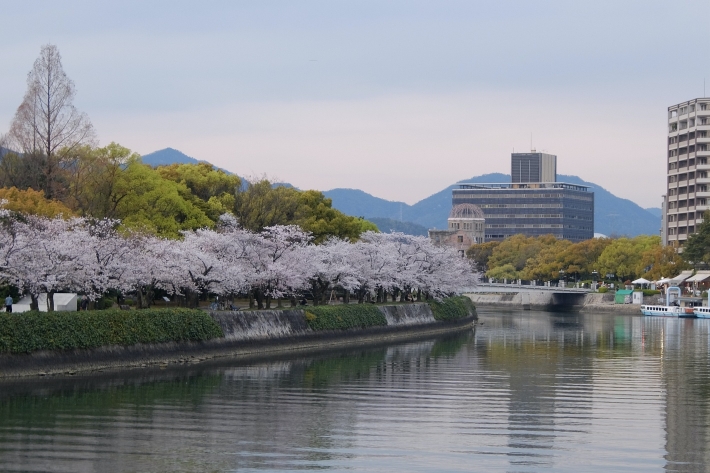 原爆ドームと桜 2020年