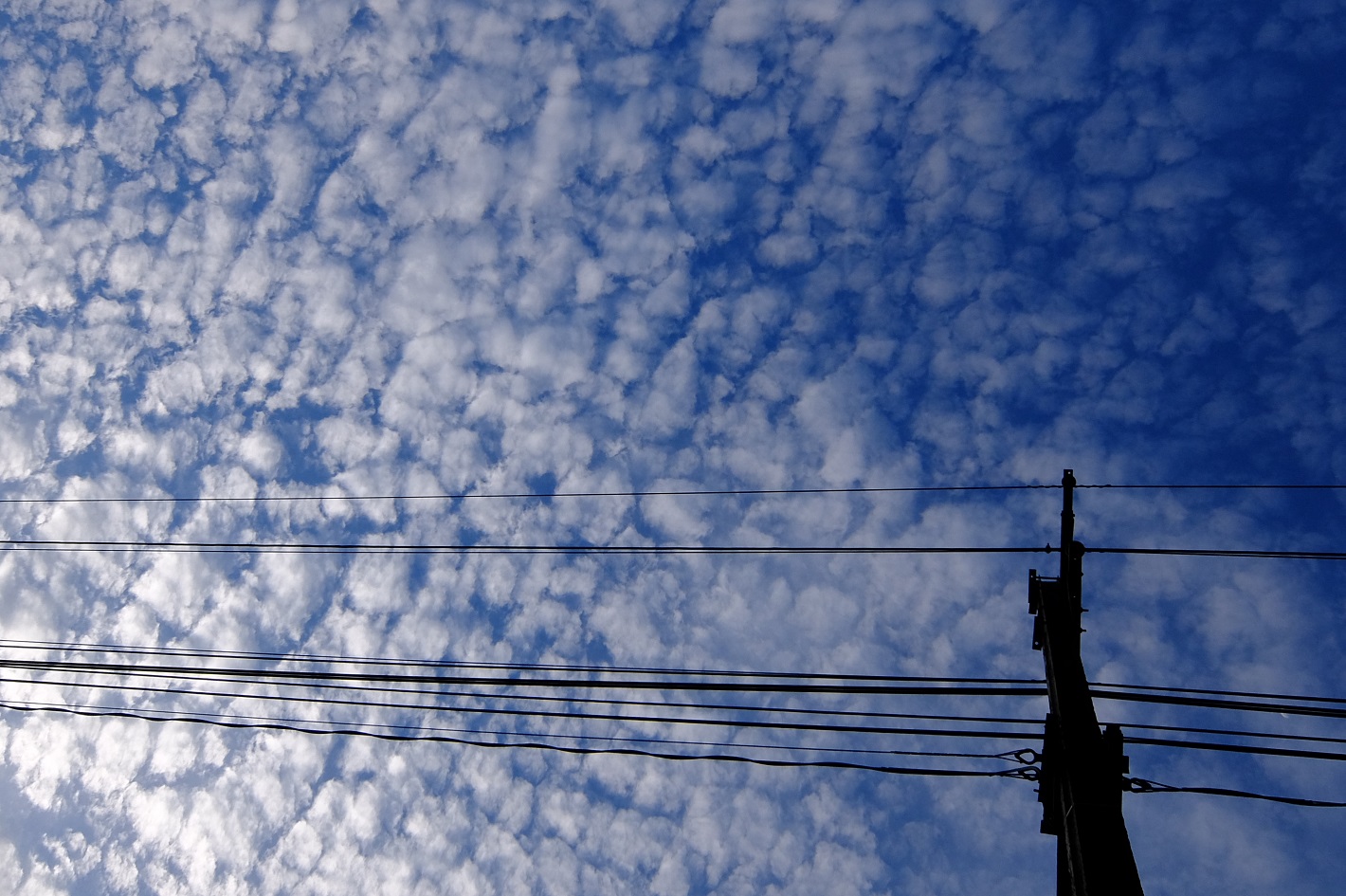 8月12日出勤途中の空