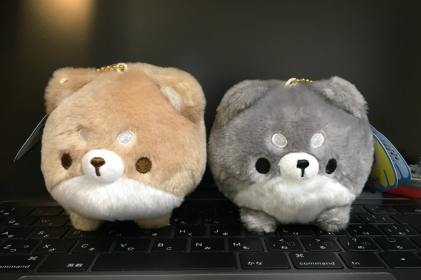まんまるだわん 柴犬(しばいぬ)