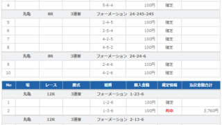 2021年6月11日 的中舟券