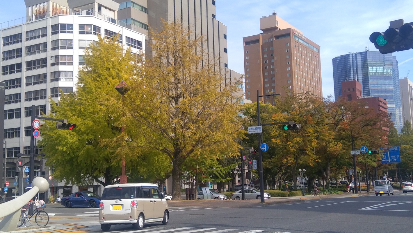 平和大通りの銀杏 2021年11月1日