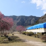 安野花の駅公園 2022年3月6日