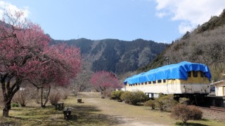 安野花の駅公園 2022年3月6日