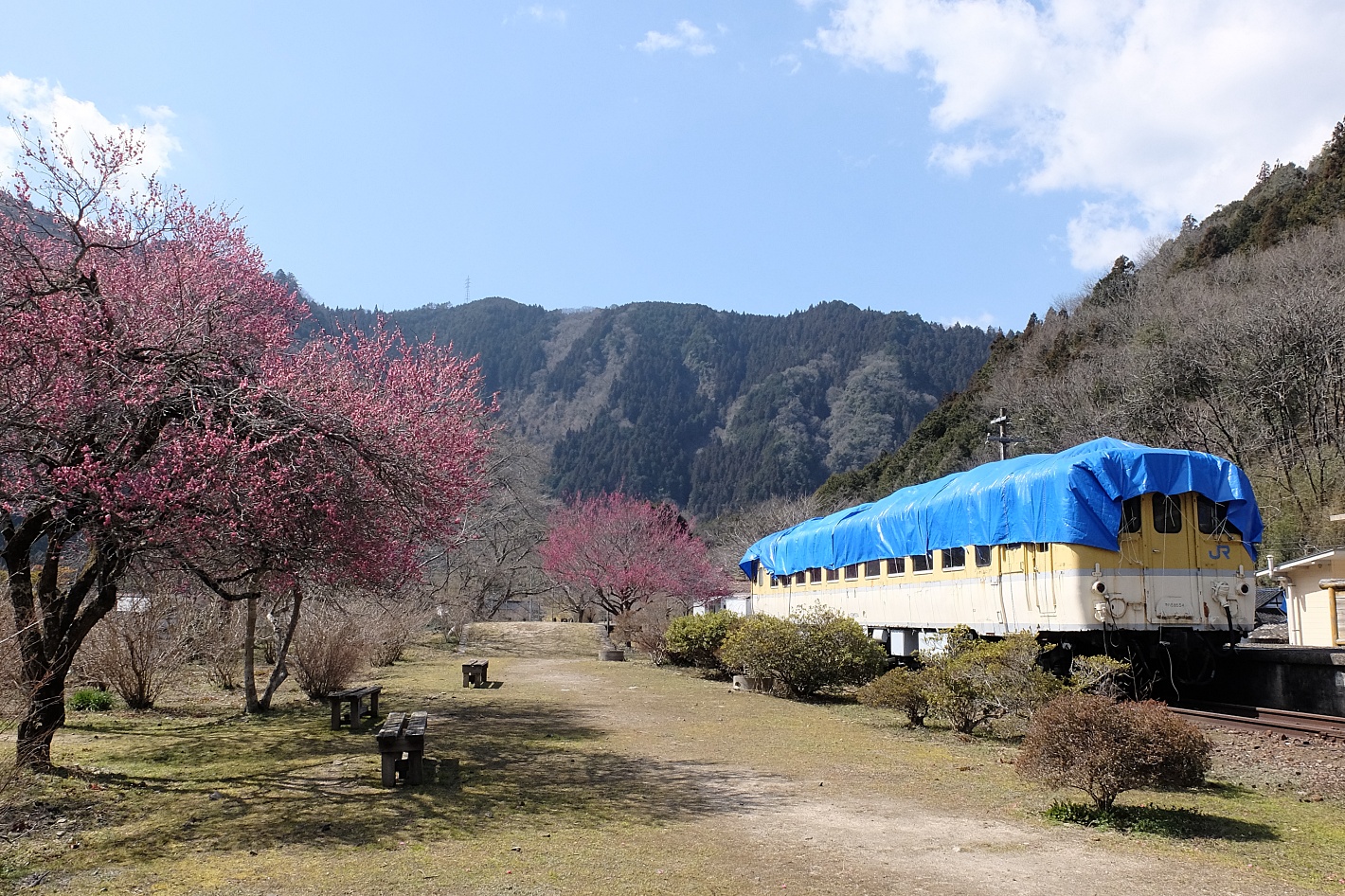 安野花の駅公園 2022年3月6日