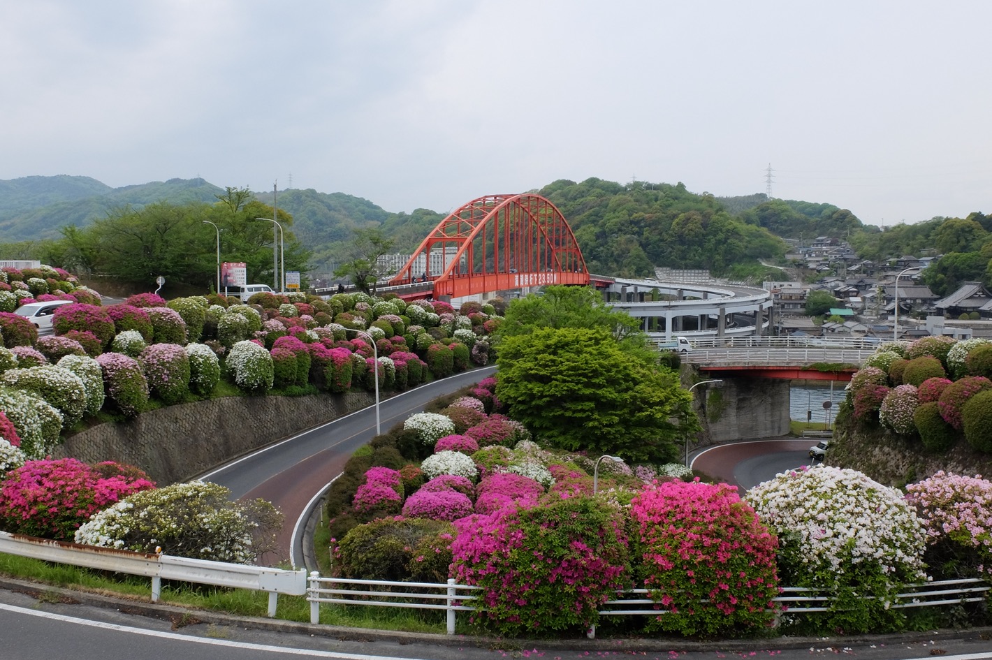 音戸大橋のつつじ 4月23日