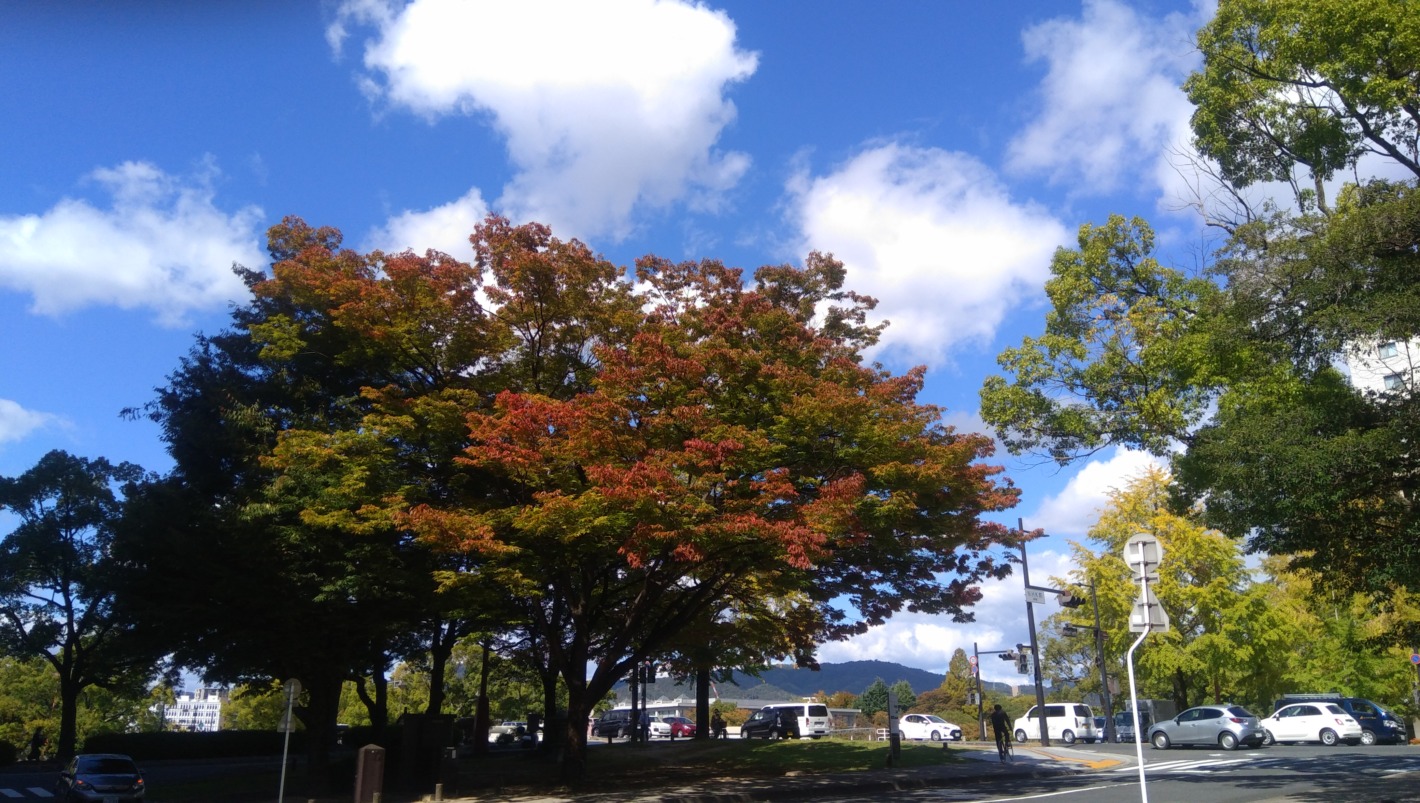 2022年10月19日お昼の空