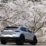 2023年の桜とCX-30さん