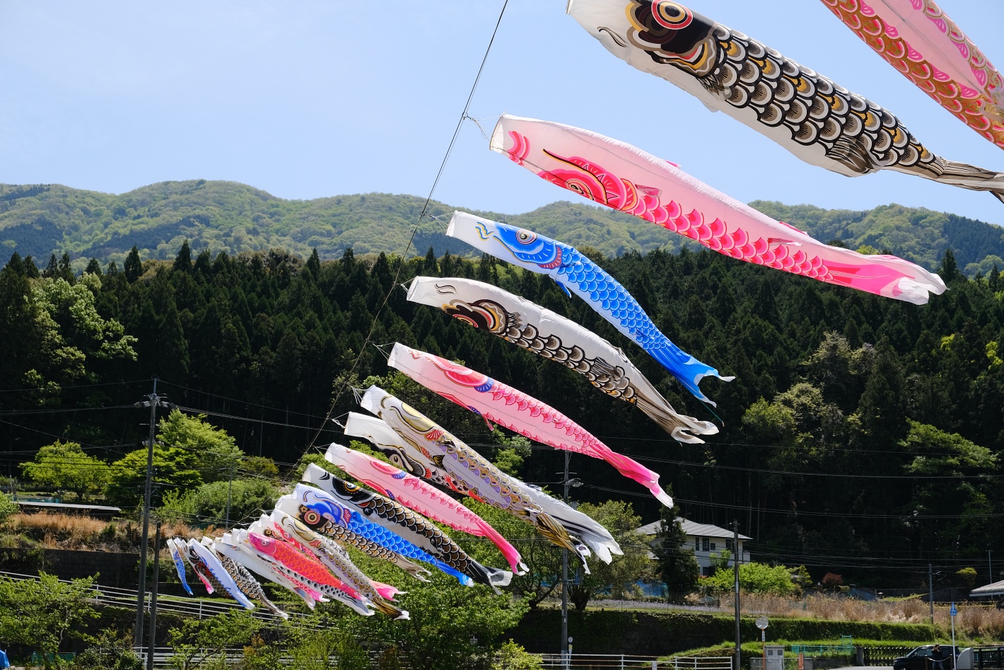 白木山橋の鯉のぼり