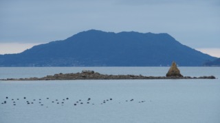 100年後には消滅する? ホボロ島