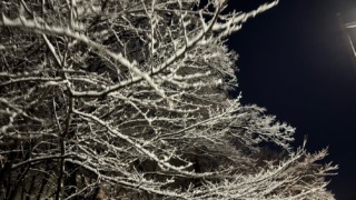 Thumbnail of post image 027