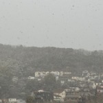 2026年1月11日 雪