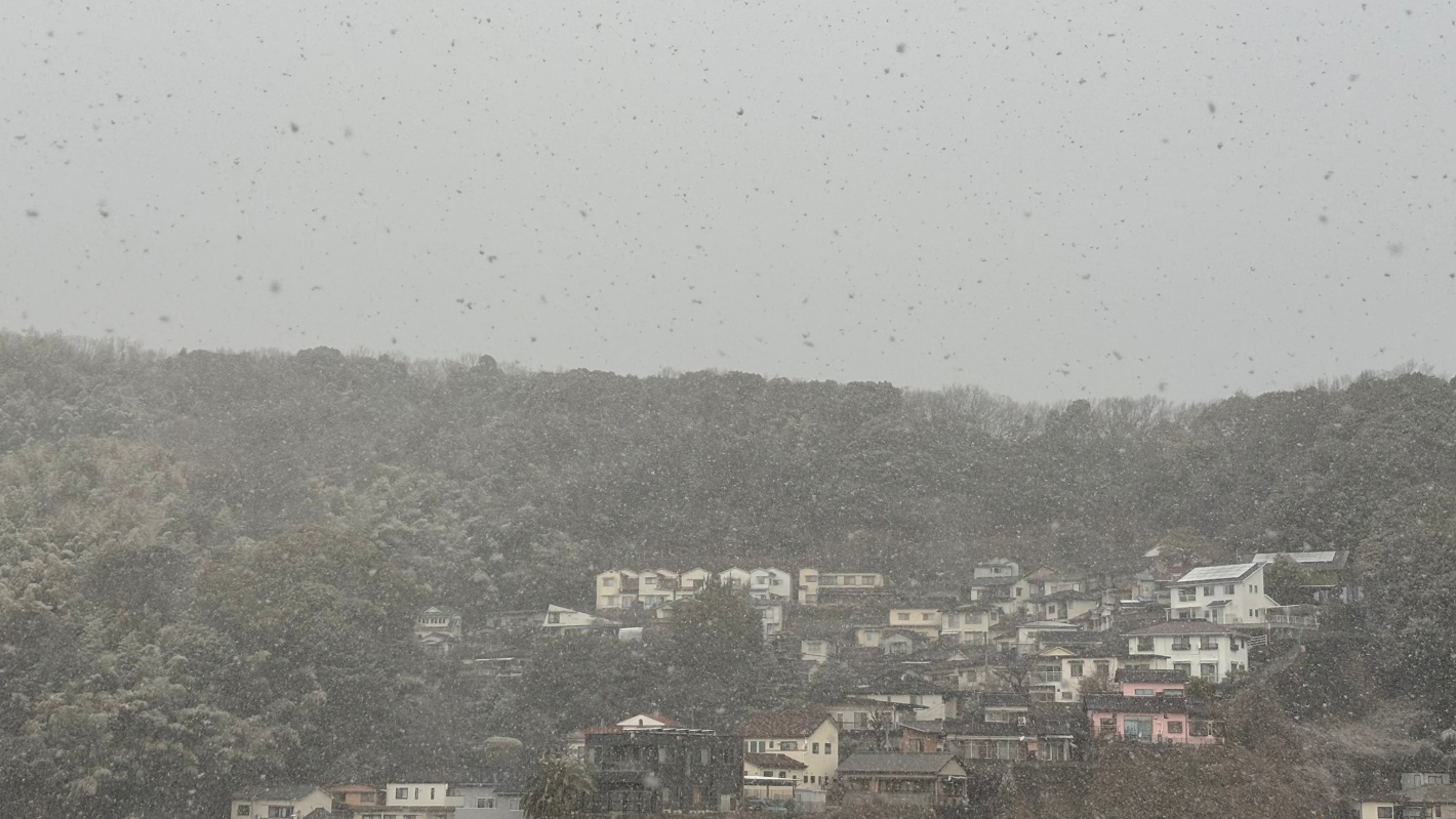 2026年1月11日 雪